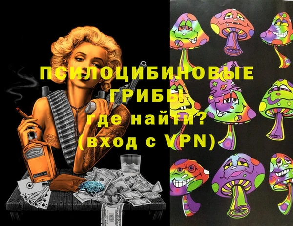 метадон Коряжма