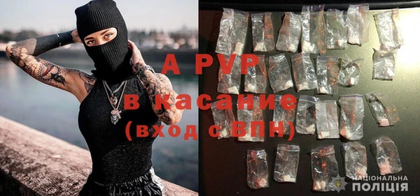 2c-b Корсаков